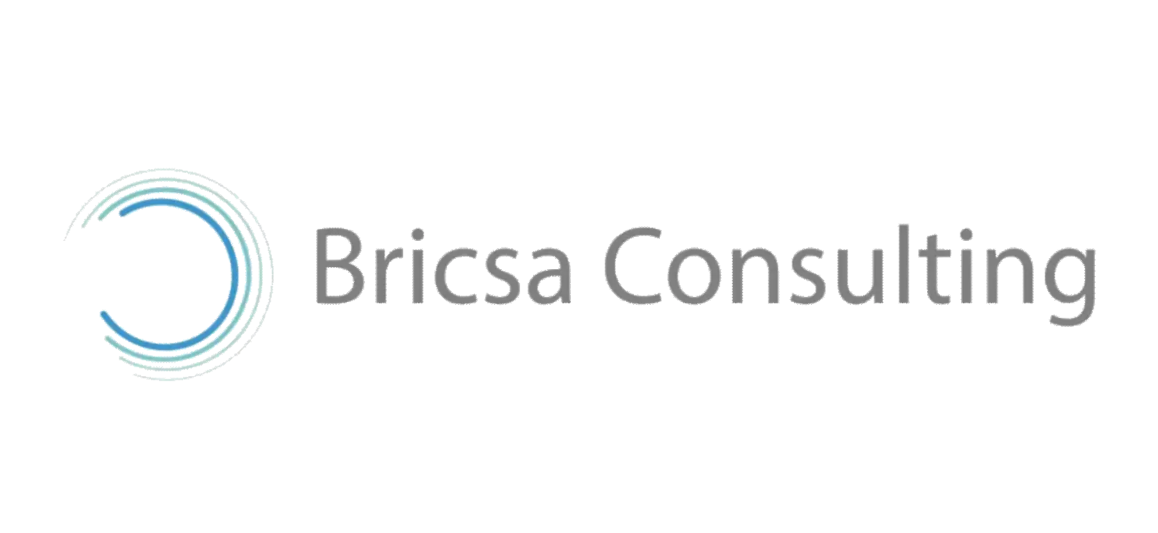 Bricsa Consulting